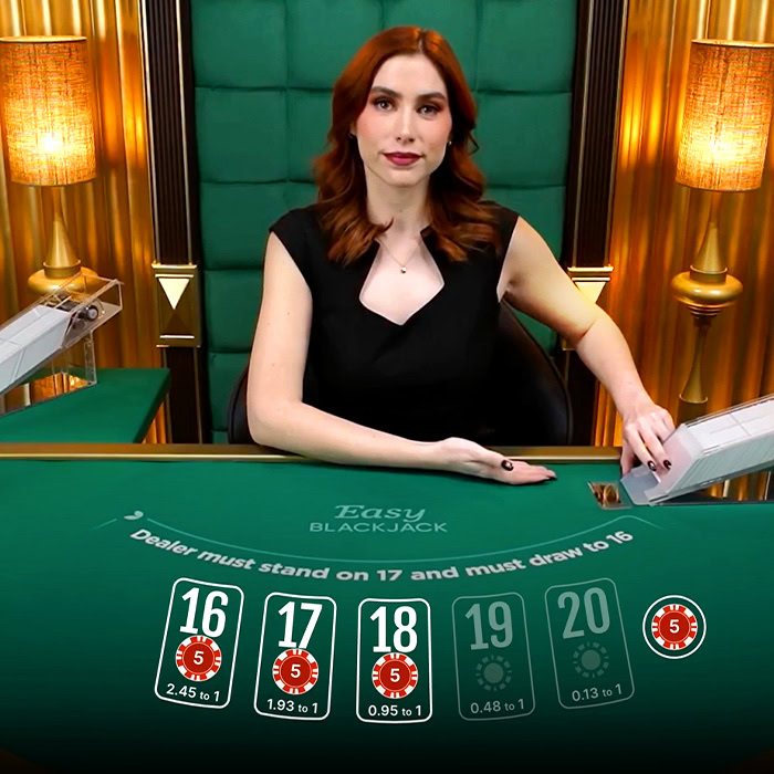 Blackjack 255bet plataforma